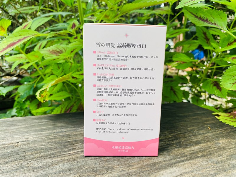 試用
